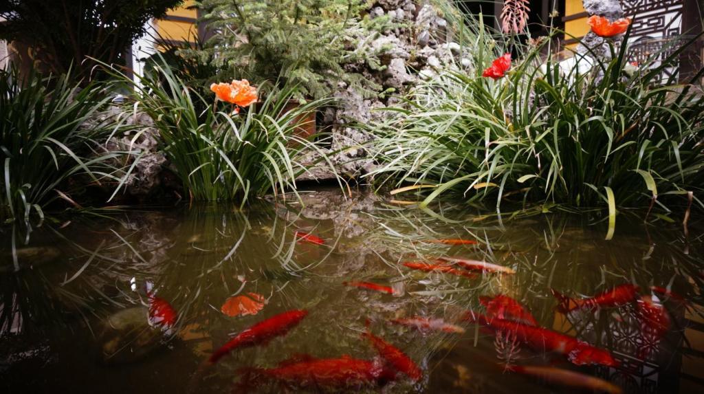 Lijiang Wangjia Courtyard Inn Kültér fotó