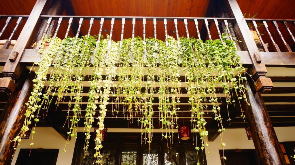 Lijiang Wangjia Courtyard Inn Kültér fotó